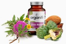 Have You Seriously Considered The Option Of Liver Supplements