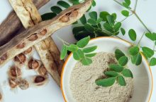 Moringa Supplements Is Wonderful From Many Perspectives