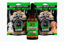 Don’t Delay When It Comes To Using Pets Cbd