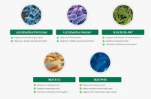 Best Possible Details Shared About ProDentim Reviews