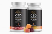 Check Out All Possible Details About CBD