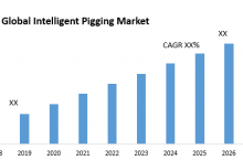 Global Intelligent Pigging Market – Industry Analysis and Forecast (2019-2026)