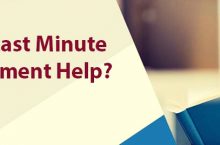 Hire the best my assignment help experts through GotoAssignmentHelp’s online essay help UK service and score high!
