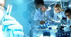 Arylcyclohexylamines: Premium Research Chemicals for Sale Researchchemicalssupplier.com
