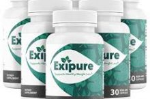 Best Possible Details Shared About Exipure