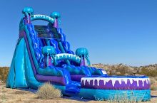 LY Jumping LLC Deliver the Best Bounce House Rentals